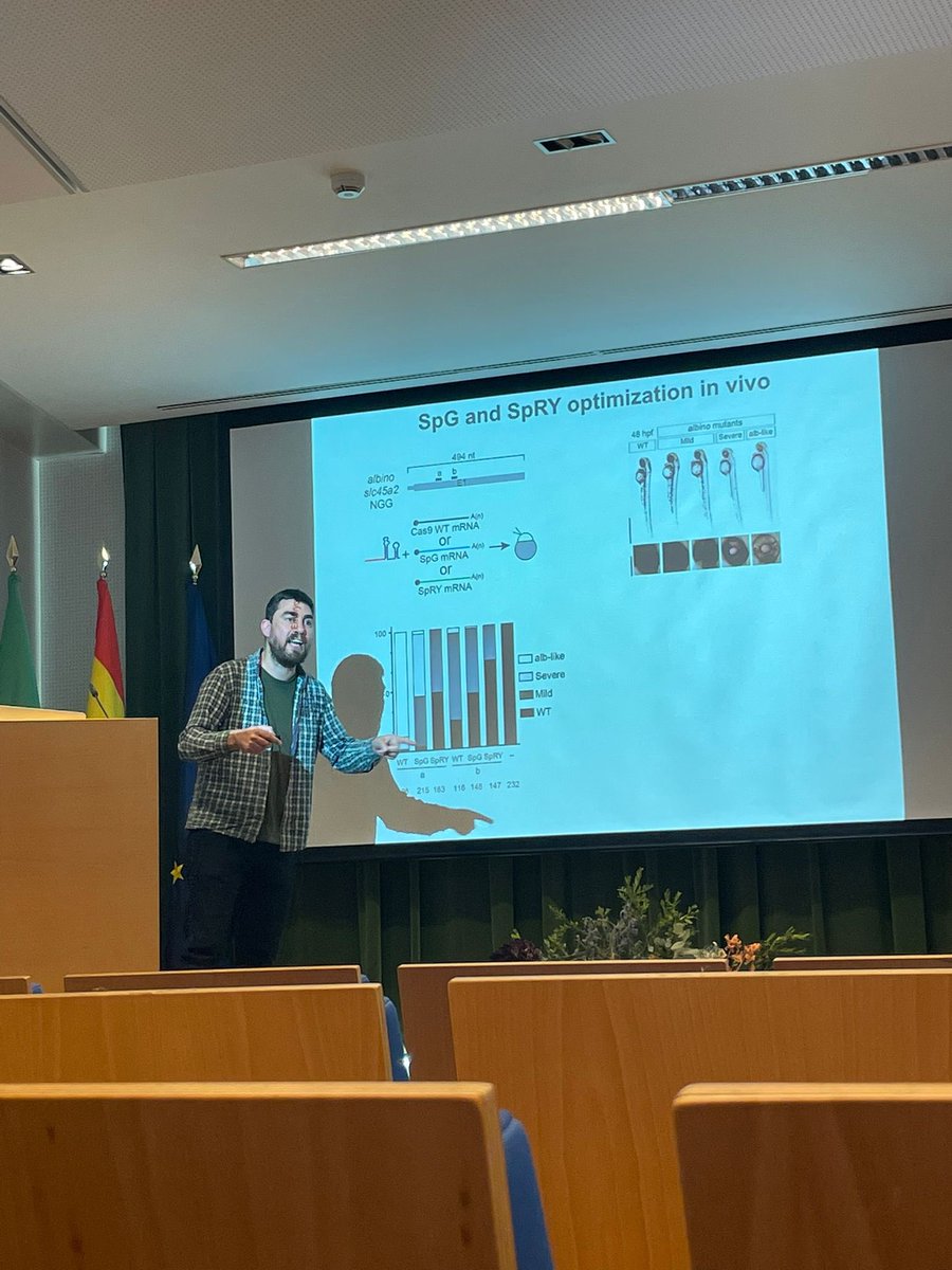 Manuel D. Gahete (@manueldgahete) on Twitter photo 👌🏼 Un placer haber tenido a Miguel A. Moreno-Mateos <a href="/crisprscan/">Moreno-Mateos Lab</a> en el <a href="/IMIBIC/">IMIBIC</a> <a href="/Univcordoba/">Universidad Córdoba</a>
🧬 Optimizing CRISPR-Cas in zebrafish to understand early development and human diseases 🧬
Muy 🔝🔝🔝🔝🔝
<a href="/HUReinaSofia/">Hospital Universitario Reina Sofía</a> <a href="/CordobaCiencia/">UCCi Córdoba</a> <a href="/PubMetTS/">PubMet</a> <a href="/MolHepatolGC30/">Molecular Hepatology Group</a> <a href="/OncMet27/">OncObesity and Metabolism Research Group</a> 👌🏼 Un placer haber tenido a Miguel A. Moreno-Mateos <a href="/crisprscan/">Moreno-Mateos Lab</a> en el <a href="/IMIBIC/">IMIBIC</a> <a href="/Univcordoba/">Universidad Córdoba</a>
🧬 Optimizing CRISPR-Cas in zebrafish to understand early development and human diseases 🧬
Muy 🔝🔝🔝🔝🔝
<a href="/HUReinaSofia/">Hospital Universitario Reina Sofía</a> <a href="/CordobaCiencia/">UCCi Córdoba</a> <a href="/PubMetTS/">PubMet</a> <a href="/MolHepatolGC30/">Molecular Hepatology Group</a> <a href="/OncMet27/">OncObesity and Metabolism Research Group</a>