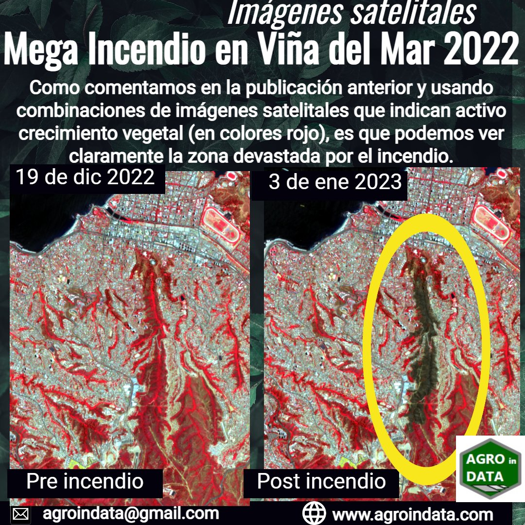 AgroinData tweet media