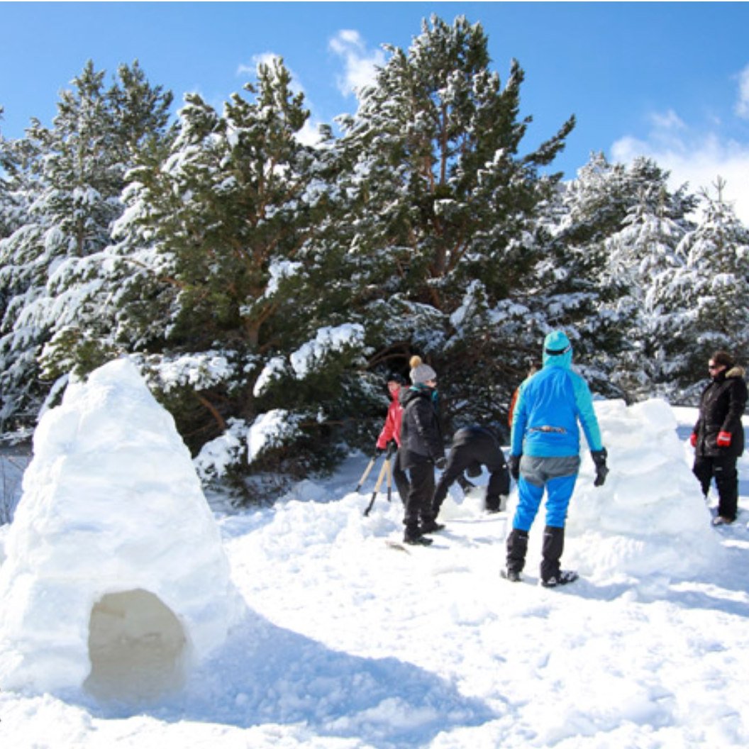 Huesca_LaMagia's tweet photo. #Planazo con niños en la nieve ❄️🥳. Si hacer un muñeco de nieve ☃️ te parece poca cosa ¡Aprende a construir iglús con @TENAPARK  una actividad perfecta para familias!

#invierno #escapada #pirineos #huescaturismo #Huesca #turismohuesca #visitspain #huescalamagia https://t.co/yqVyaYEZty
