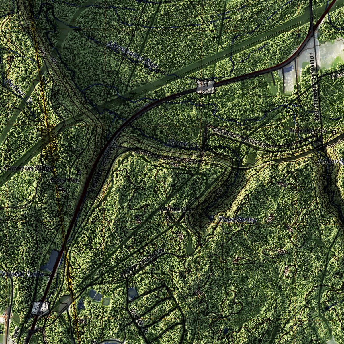 geo_spatialist's tweet photo. Ft. Knox, KY 7.5 minute Quad - USGS - 2022

3D render - full LiDAR return with trees, buildings, power lines, etc.  You can make out the gold vault just below the Gaffey Heights label.

#arcgispro #b3d #lidar #geography #Kentucky #FortKnox #GIS https://t.co/VoNnFfVLod