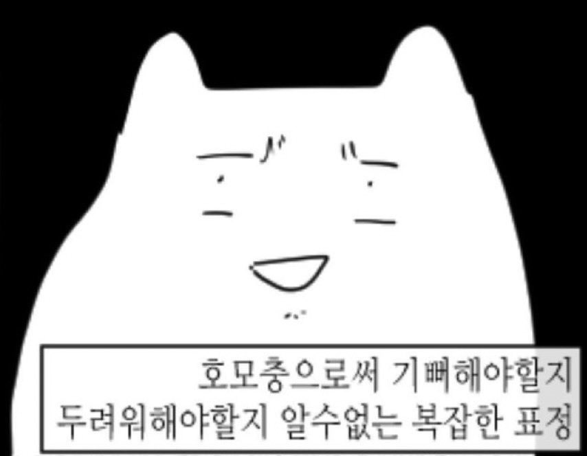 아근대... 스케줄 끝나고 생일선물 사서 이밤에 같은 숙소도 아닌 얘한테 생일선물 전해주러 가는 거... 너무 포타설정 아닌가? 내가 지금 규부포타 속에서 살아가고있는건가???