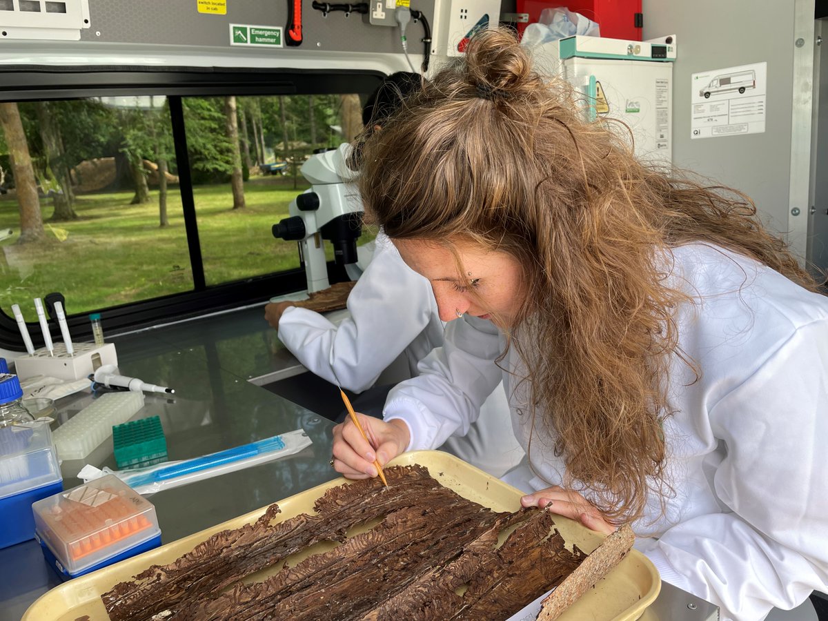 Calling all environmental scientists!  We need YOU!

We are hiring a number of scientific roles to help tackle the climate and nature crises and bring about positive change for our planet.  

forestresearch.gov.uk/about-us/caree…