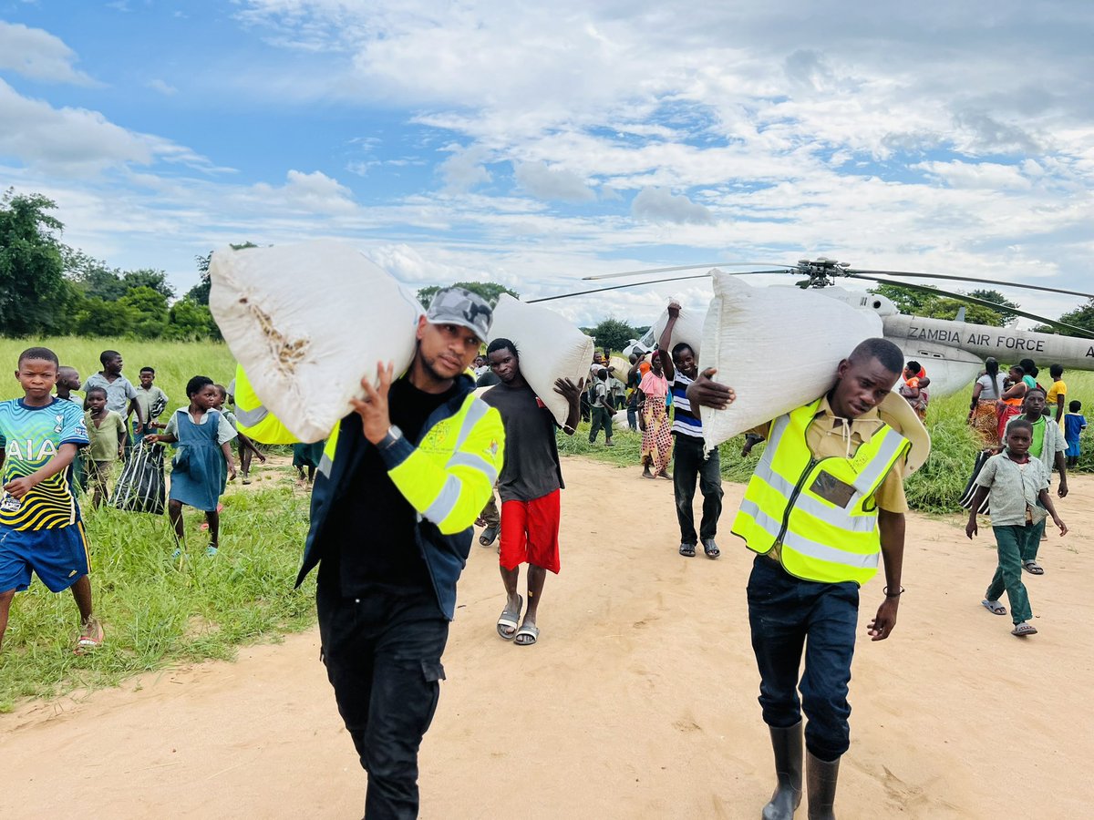 Gabriel Pollen, PhD tweet media