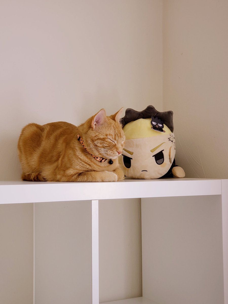 🩷🌻 bee 💫 tweet media