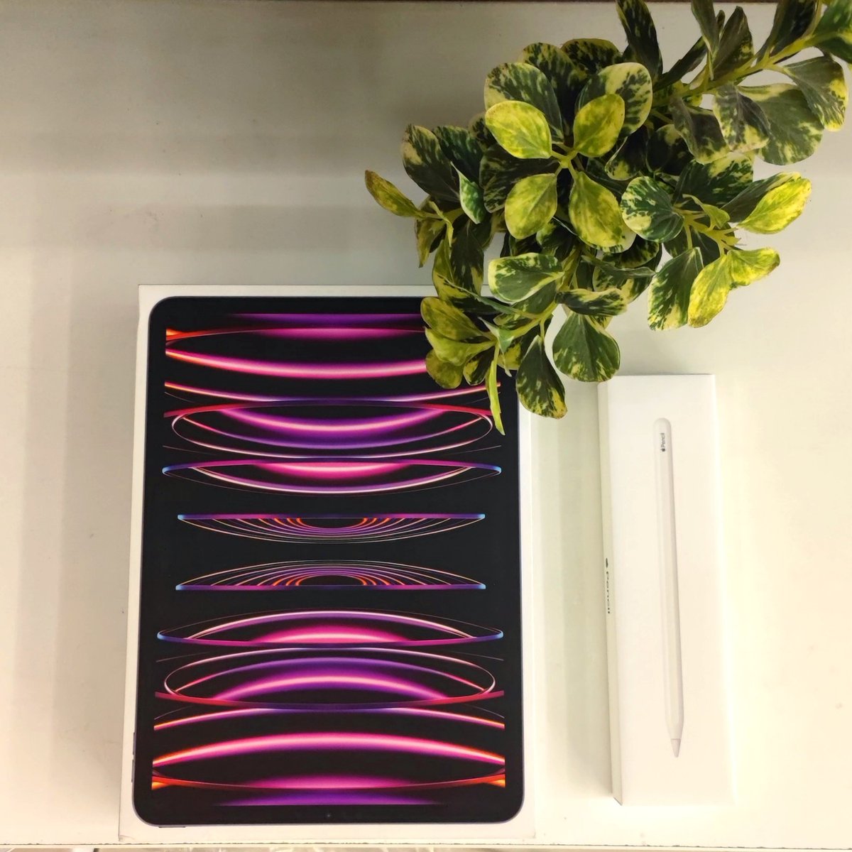dr_vee95's tweet photo. Coming from a middle class family, owning an #Apple product, for me, has always a distant dream.
My father used a basic Nokia phone and my mother still uses a low end smart phone. She wanted me to have this for my studies.
Grateful to God and my mother for this wonderful gift. 🙏🏼 https://t.co/1LlbcUVG4q