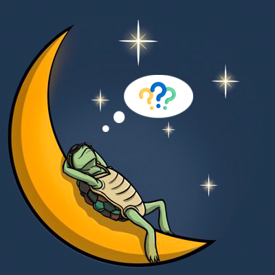 Terrapins tweet media