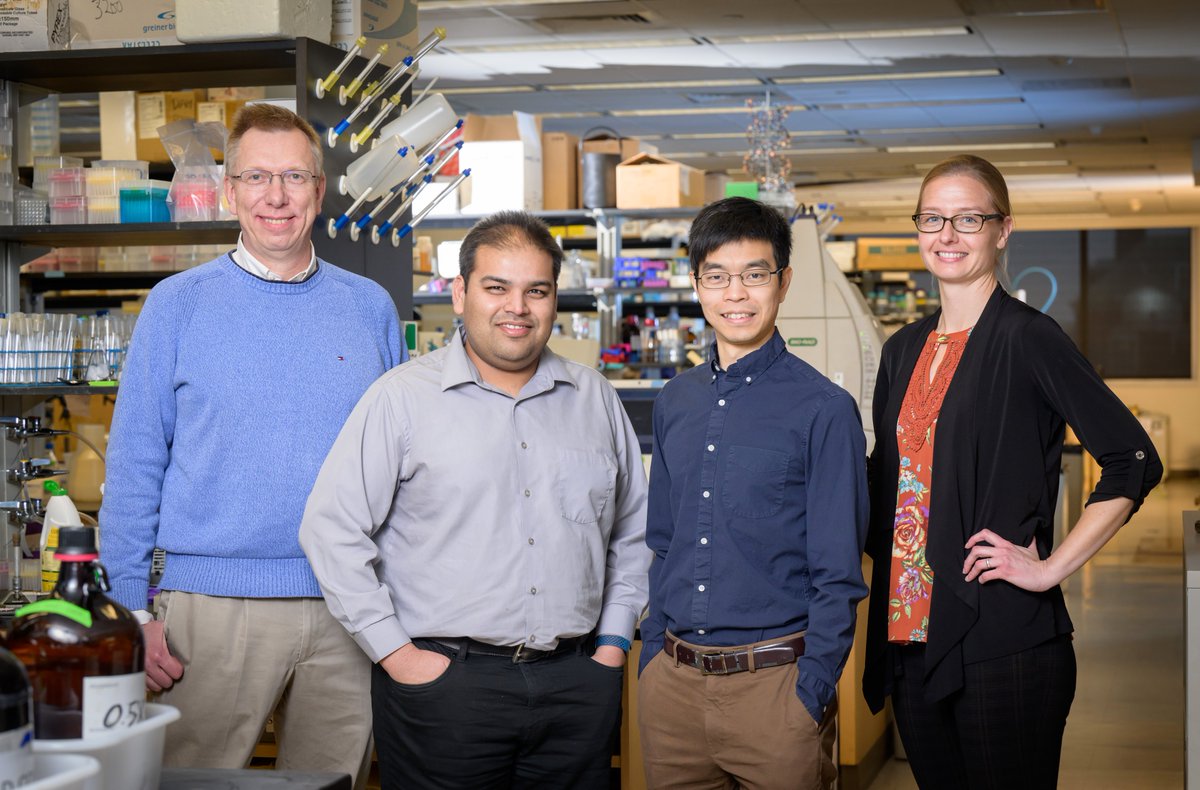 REALLY excited about this opportunity from #HHMI to investigate and engineer avian and human antibody responses to influenza with a wonder team: @GuthmillerJenna, @wchnicholas, @angadmehta, and Wilfred van der Donk! @HHMINEWS STORY: mcb.illinois.edu/news/2023-01-2…