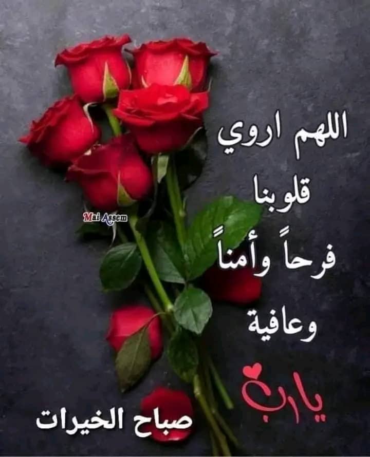 Mansor (@max4real96) on Twitter photo 