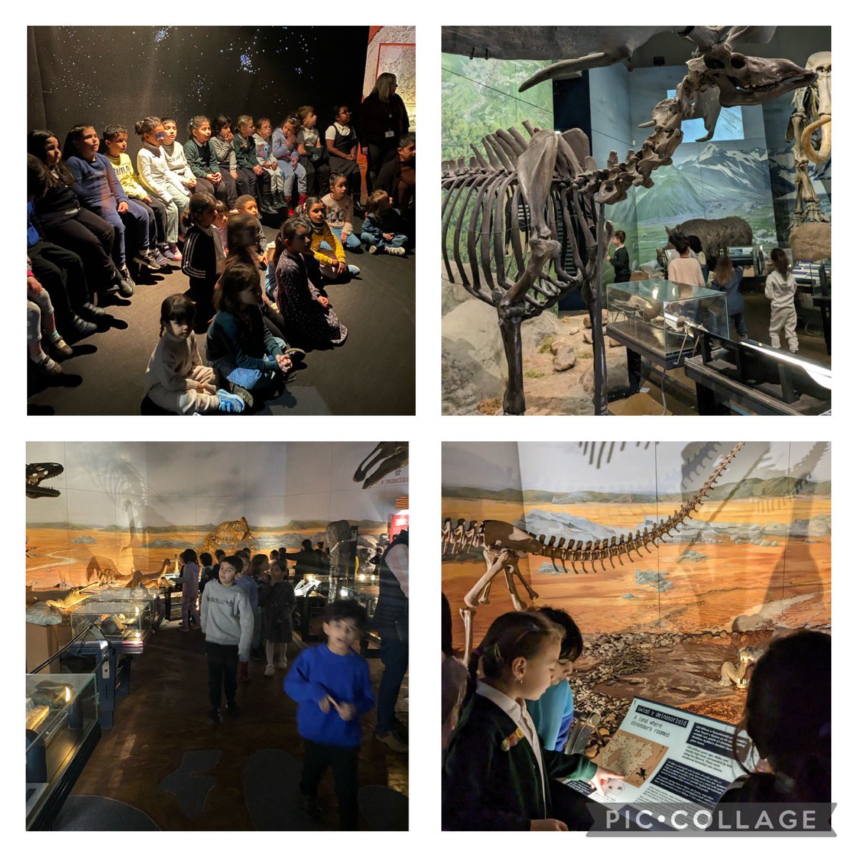 1miss_anderson's tweet photo. Dosbarth Silver had an incredible experience today in the museum. The children were so excited to make their own art, look at all of the paintings and statues, and see the dinosaurs as a treat ⭐️⭐️ @AdamsdownPrm #cardiffmuseum https://t.co/tZNb2jqNuW