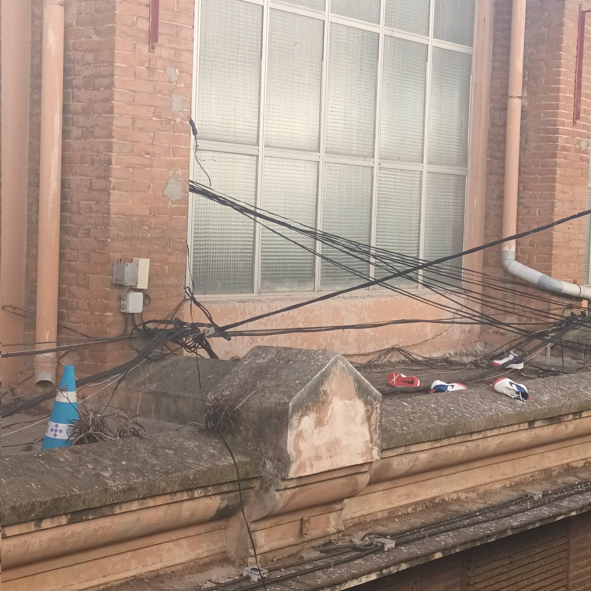 Veïns Maignon tweet media