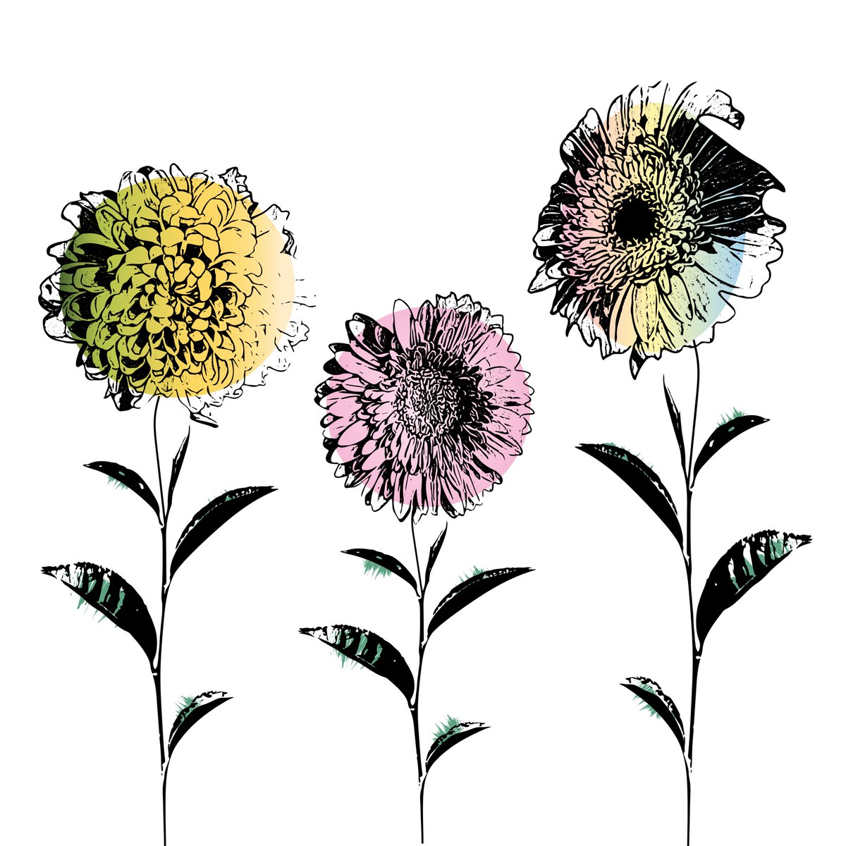 Shop Set of flowers Throw Pillow on Society6! society6.com/product/set-of…