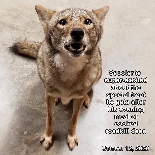 HourlyYote's tweet photo. [🔗](https://t.co/93yM9DdfRO) https://t.co/EK4FuS1b5e