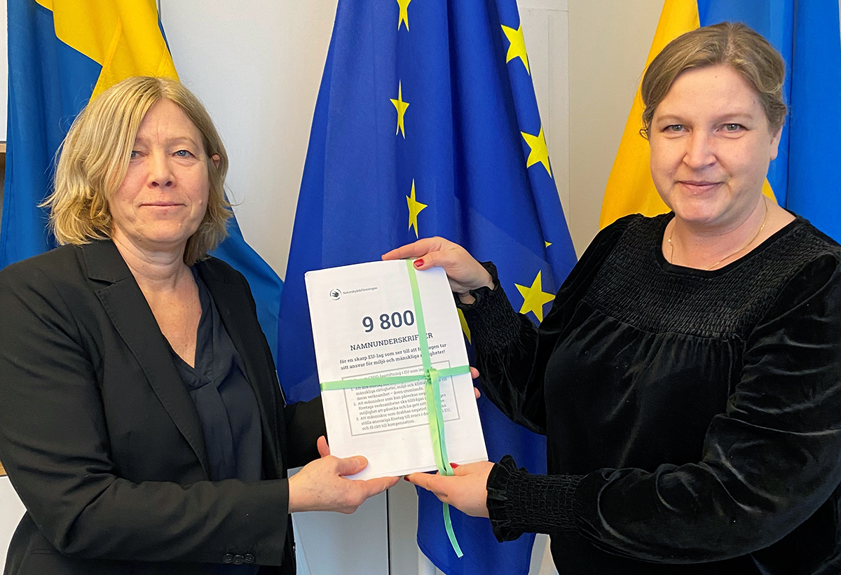 naturskyddsf's tweet image. Vi kräver en skarp EU-lag som ser till att företag tar ansvar för miljö och mänskliga rättigheter. Nästan 10 000 namnunderskrifter lämnas nu över till svenska EU-parlamentariker. 

#CSDD #Miljöförsvarare

@KarinKarlsbro @MalinBjork_EU @fritzon_h @skyttedal @jessicapolfjard