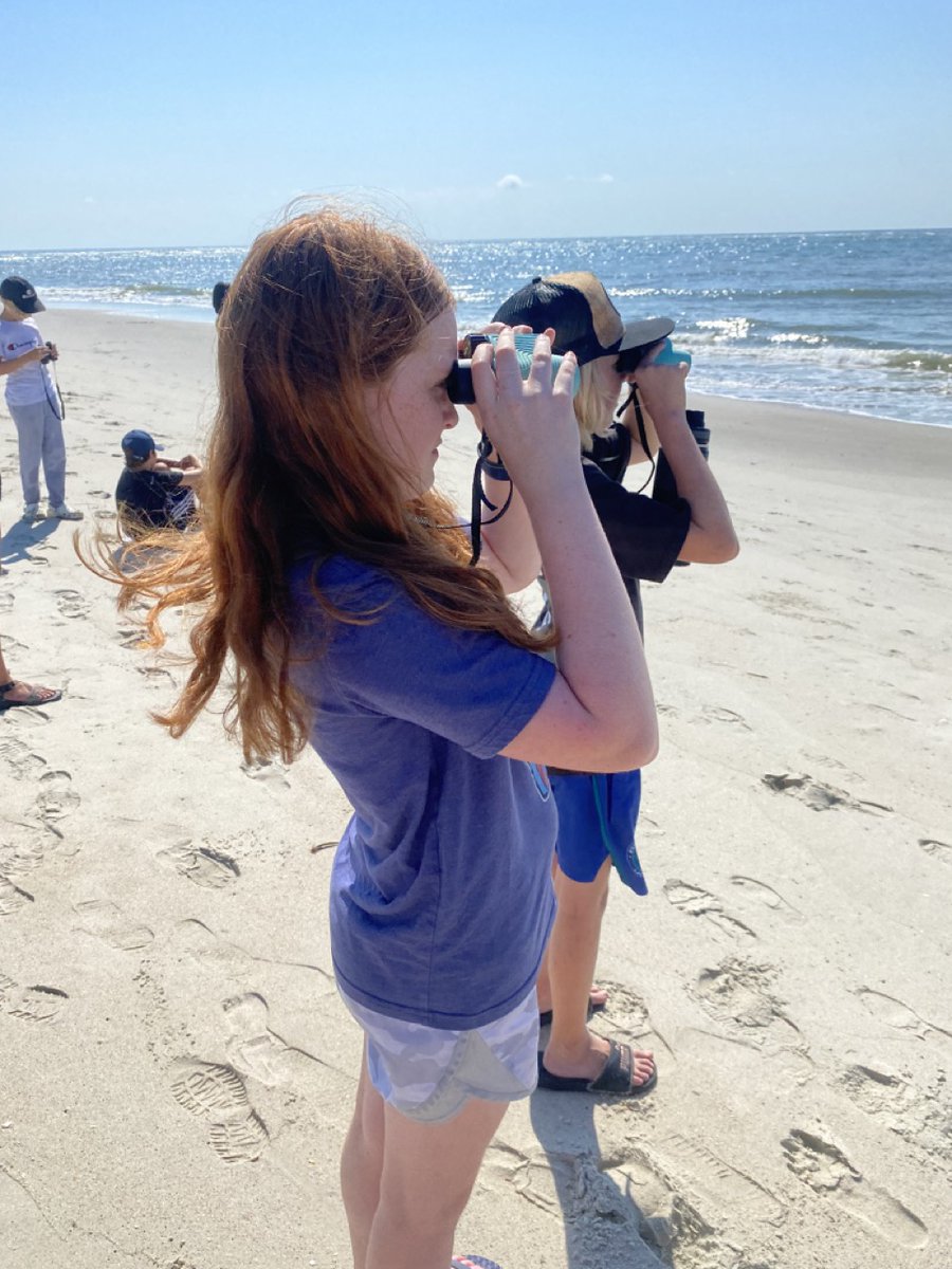 Happy International Environmental Education Day! #bhi #baldheadisland #environmentaleducation #ncbeaches #nccoast