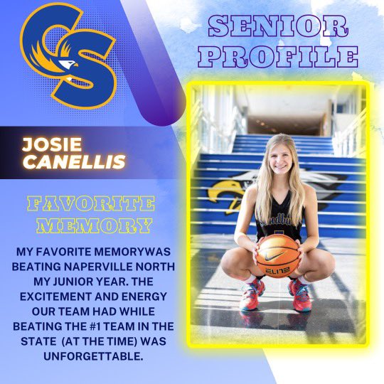 🦅 Carl Sandburg Girls Basketball 🦅 tweet media