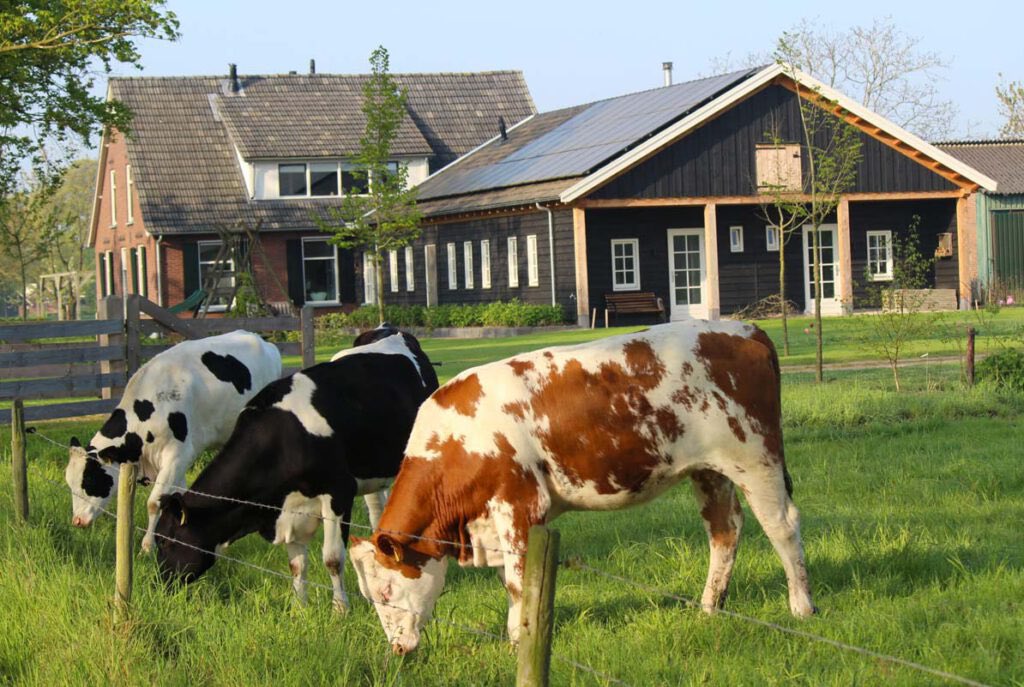 locisadviseurs's tweet photo. Mooie B&amp;B in de Achterhoek    https://t.co/sdf7ZicH8A https://t.co/w6tRVU7ooo