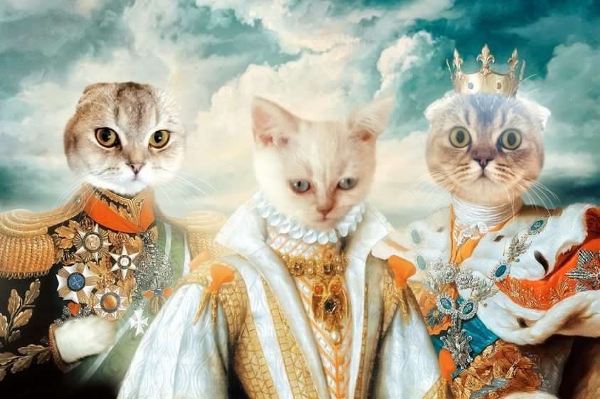 edaskpl's tweet image. ❤️