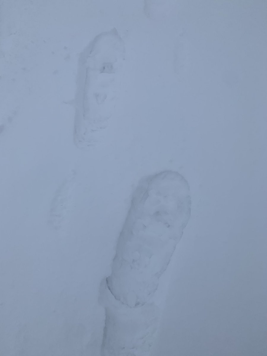 uhler13's tweet photo. It finally happened.  @LEastdalePS has enough ❄️☃️❄️ for snowshoeing.  @AMETFOenv #iAMoutsideAMDSB https://t.co/b2gyBfvbIa