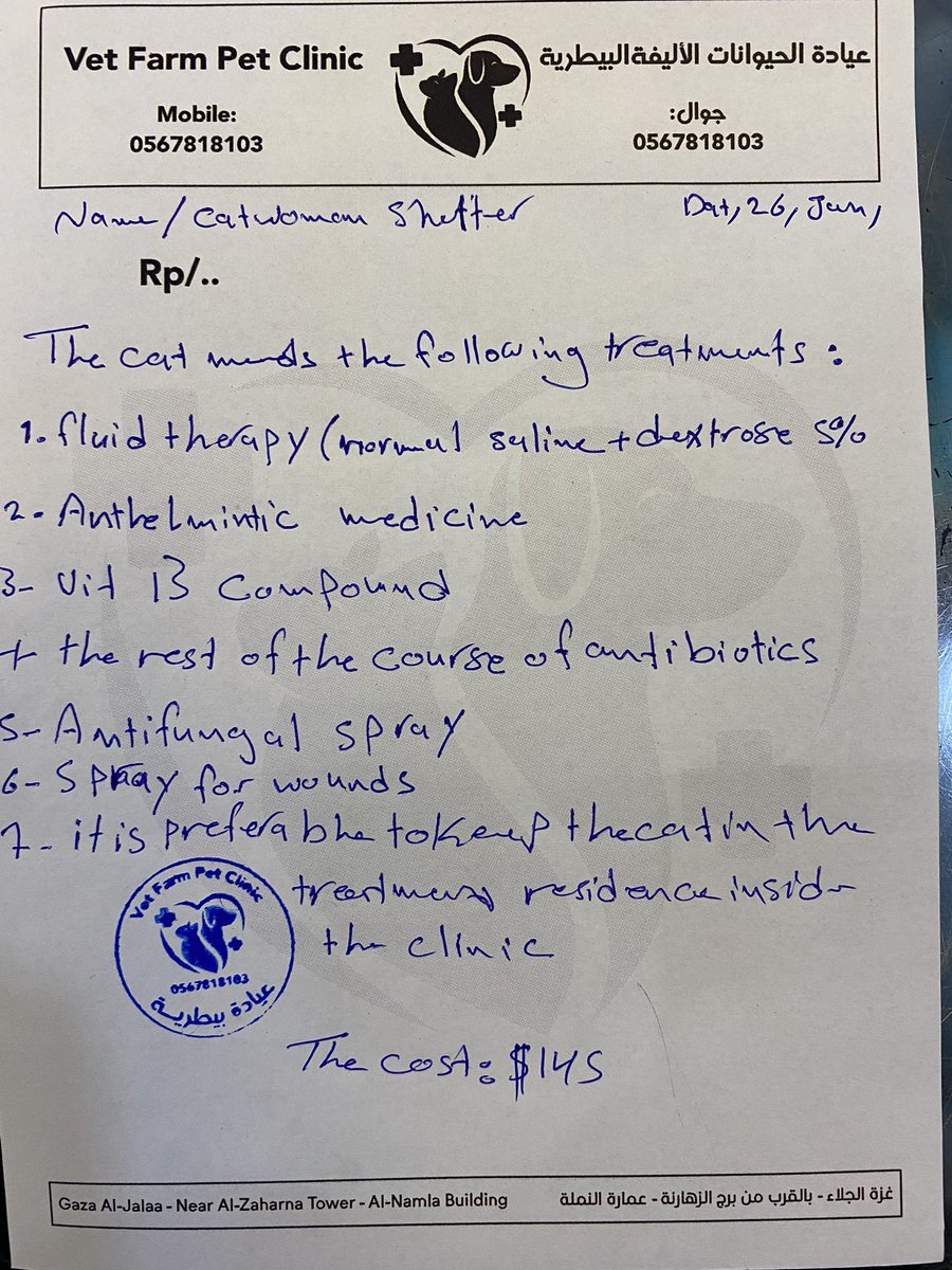 🇵🇸Cat woman🇵🇸 tweet media