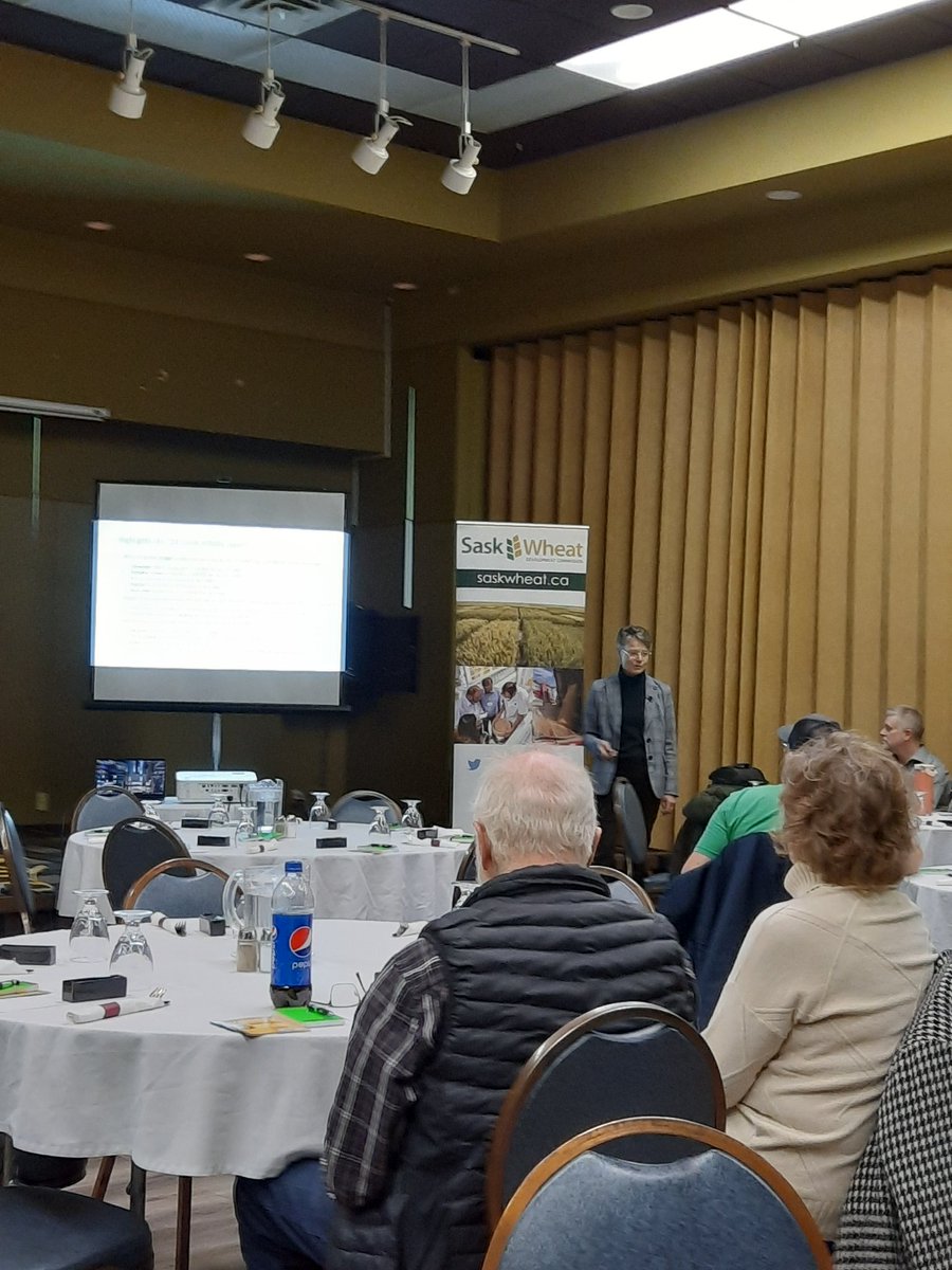 FungusAmungus3's tweet photo. #ThinkWheat event in Kindersley and interesting talks on markets and contracts from Marlene Boersch and Michael Wilton from Mercantile Consulting Venture out of Winnipeg, MB

@SaskWheat https://t.co/62lWR2nQDC