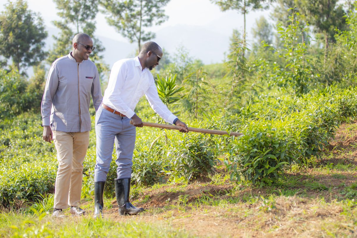 Rwanda Agriculture & Animal Resources Devpt Board on Twitter: