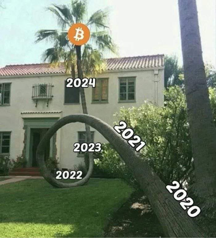 DanielRedou's tweet photo. En bear market, on gagne assez de pièces.
En bull market, on gagne assez de dollars .
Rendez-vous au sommet 🔼🔼🔼 https://t.co/FBQBn7VcDP