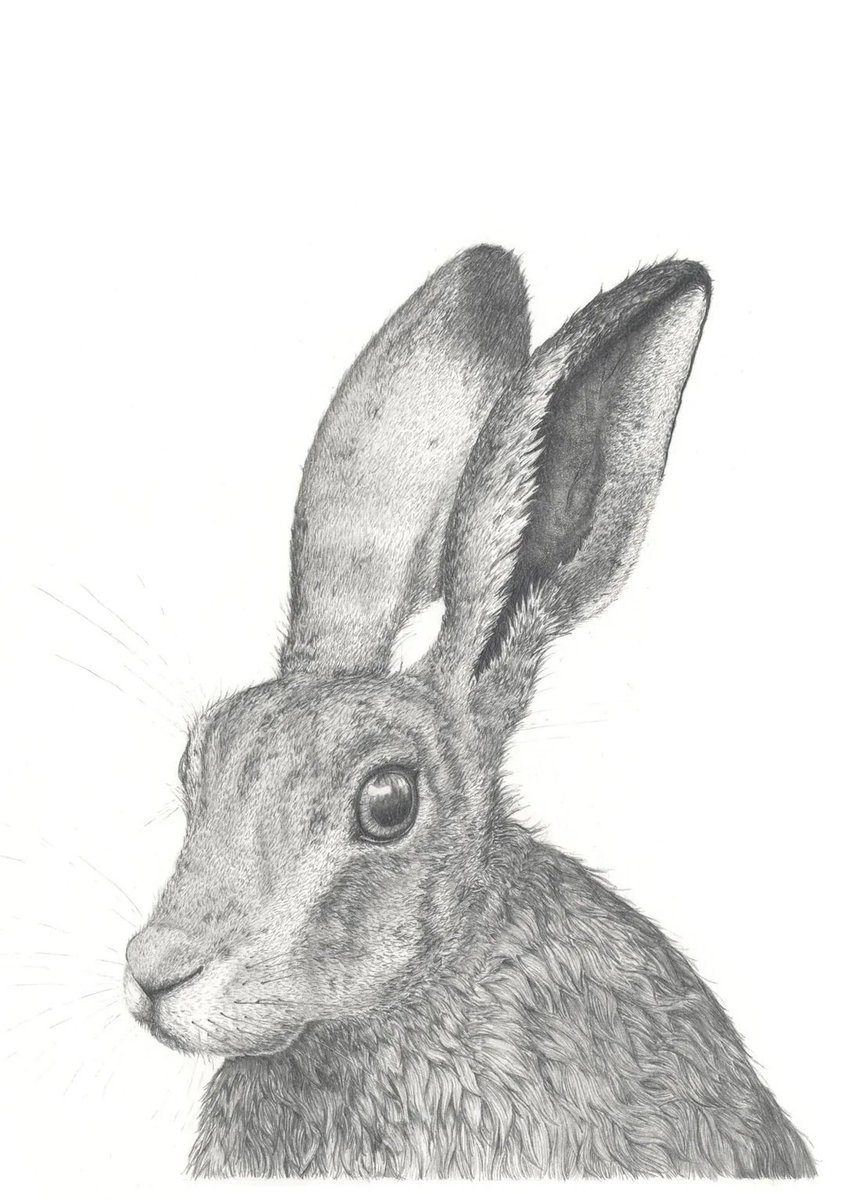 Celebrating the year of the 🐇 

The sign of the rabbit is a symbol of longevity, peace, and prosperity in Chinese culture. Those born in the year of the rabbit are said to be vigilant, witty and ingenious! 

May your 2023 be prosperous in all meanings of the word. #RABBIT2023