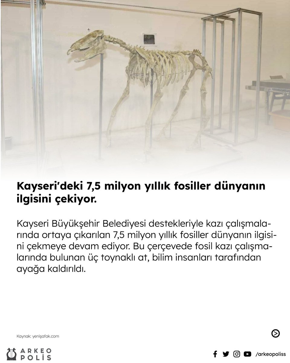 arkeopoliss's tweet photo. Kayseri'de 7,5 milyon yıllık fosiller gün yüzüne çıkıyor https://t.co/n2aUz9O84n