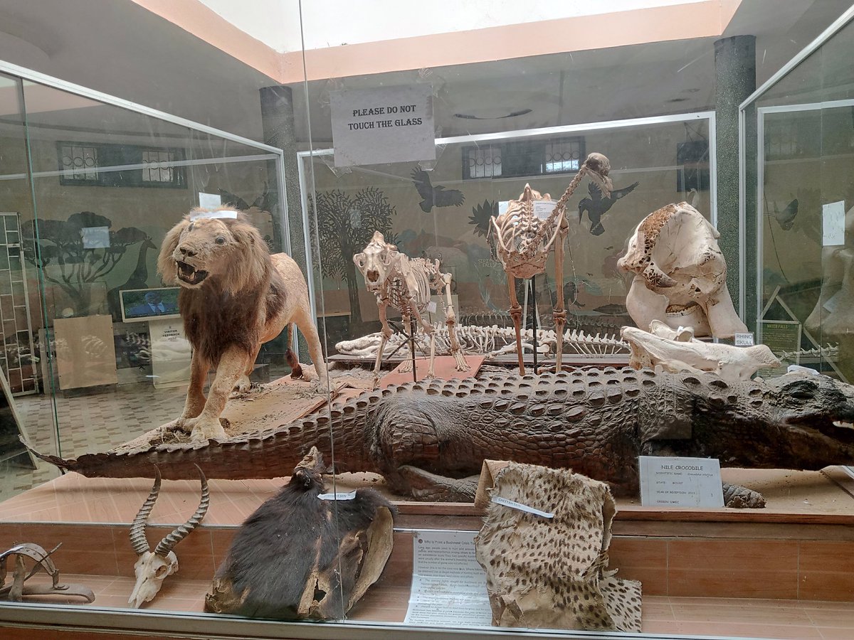 Mukalele Rogers tweet media