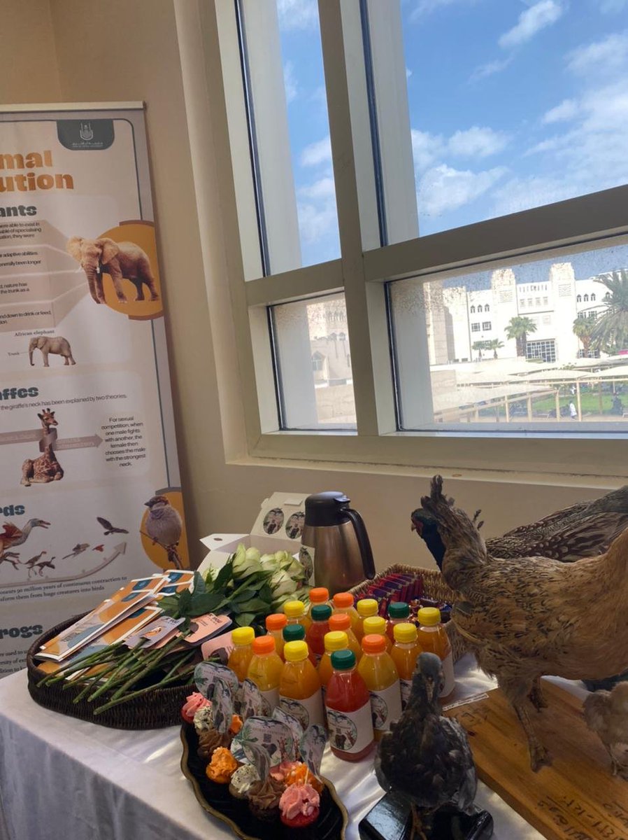 فعالية 🐸🐘🐌.
التسلسل الزمني للتاريخ التطوري لبعض الحيوانات
Chronology of the evolutionary history of some animals
اشراف أ.أسماء الربيعي
#جامعة_ام_القرى 
<a href="/FASci_uqu/">كلية العلوم</a>
<a href="/Biology_uqu/">🧬🔬طلاب قسم الأحياء🔬🧬</a>