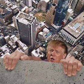 Jon Cooper 🇺🇸 tweet media