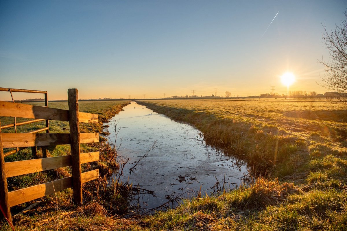Echt optimistisch over Landbouwakkoord is #Agractie niet: 'We zitten aan tafel om de schade te beperken'

bit.ly/3WH5IHe