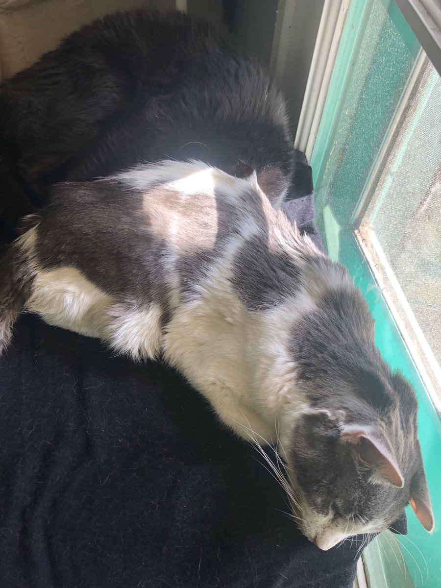 Jason Kim-Seda, Ed.D. (he/him/his) tweet media