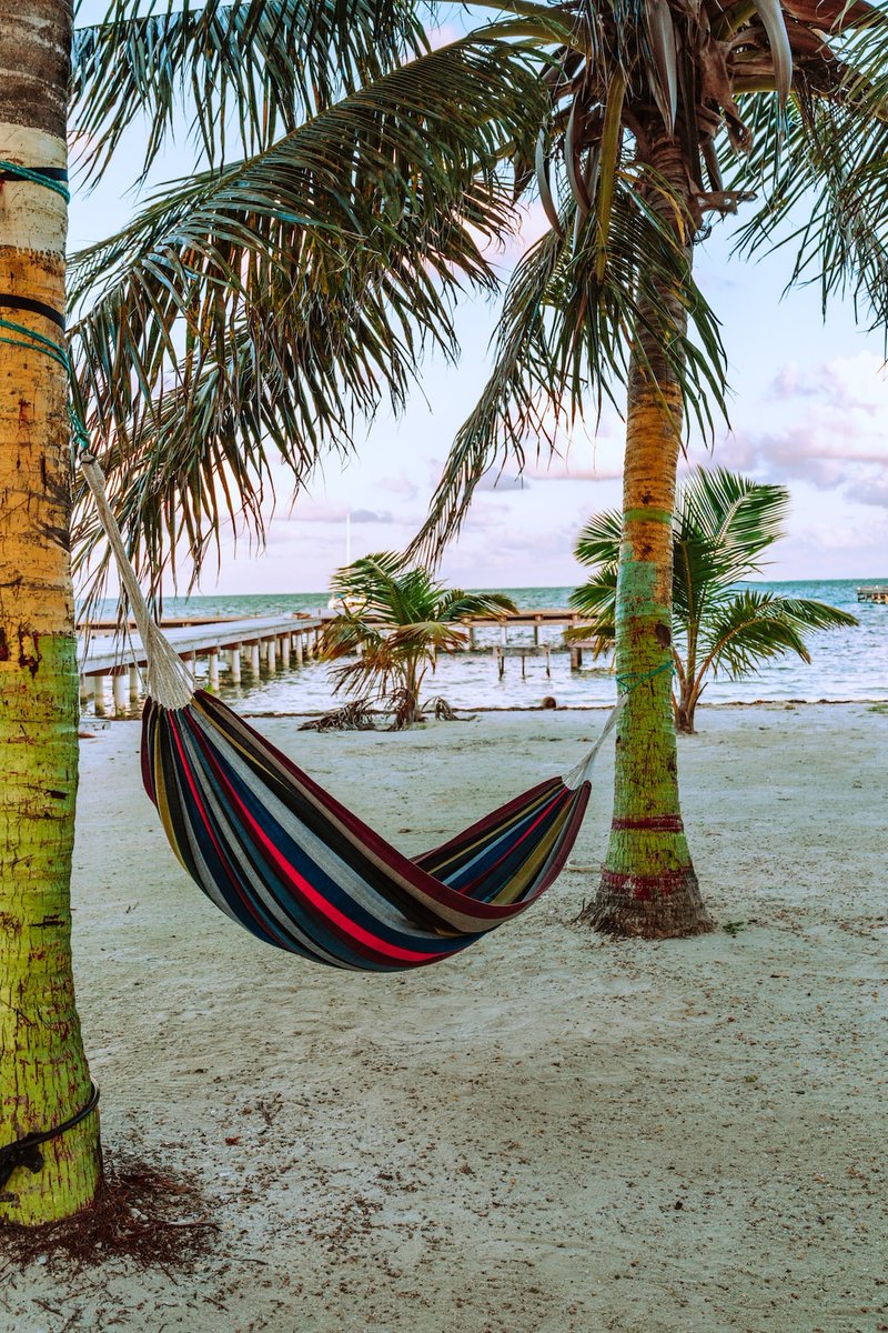 U30Experiences's tweet photo. There is never a wrong time to practice Caye Caulker's "Go Slow' motto.
#Belize #Under30Experiences
π΄π΄π΄π΄π΄π΄ https://t.co/xeiHOagcBb