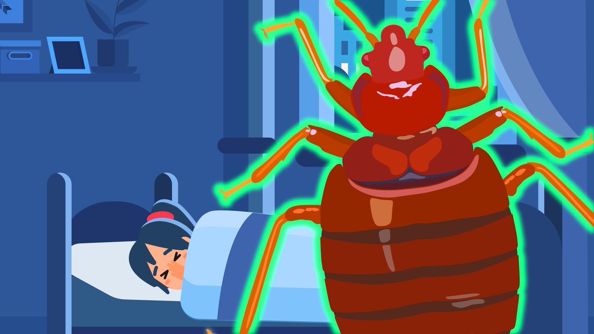 Insider Tech on Twitter "Bed bugs are hard to kill — here's why"