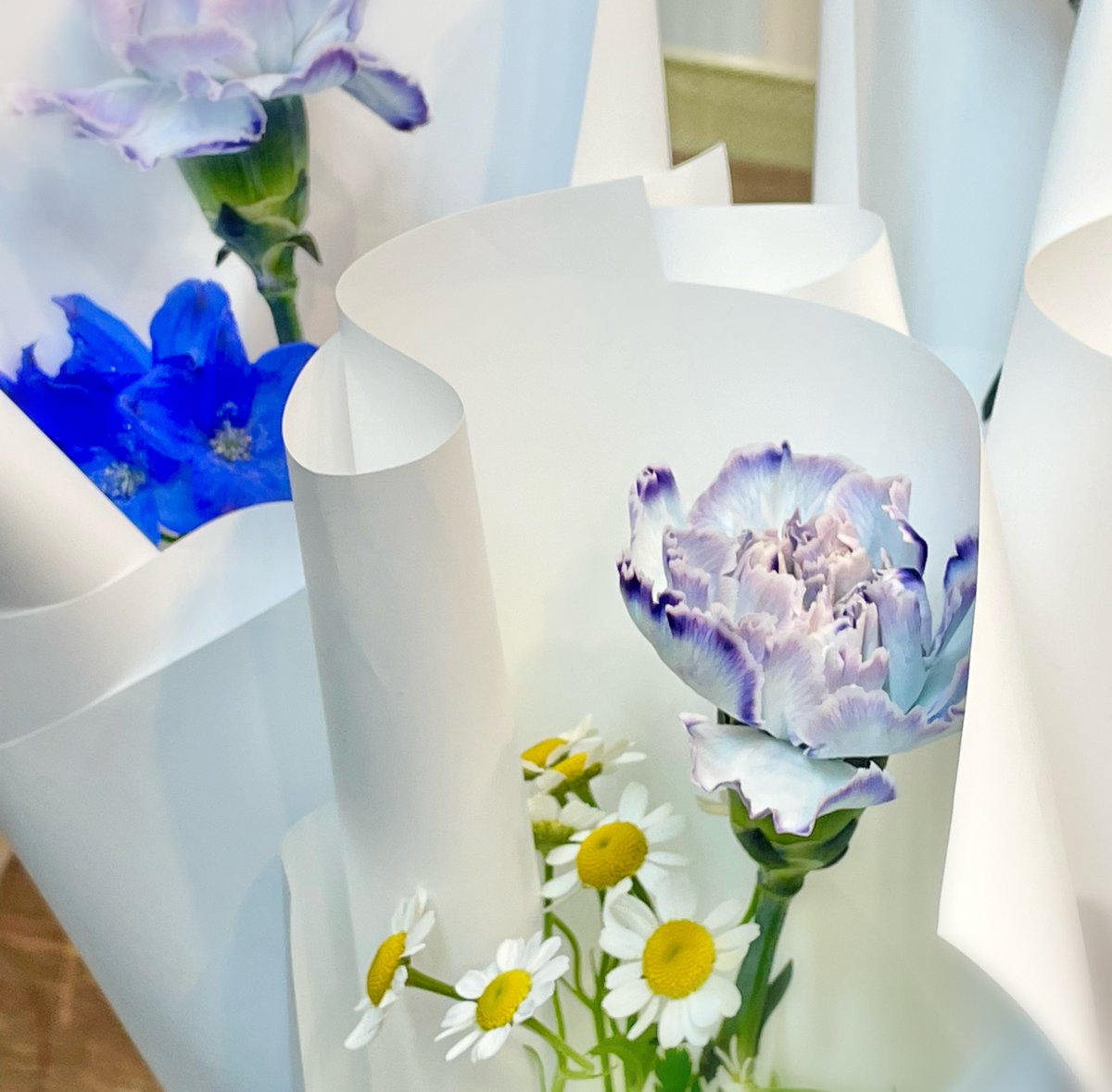 20230127
𝙹𝚊𝚗 𝟺 𝙺𝚒𝚗𝚘

💜 오전 9시 이전에는 무인으로 꽃 구매는 가능하나 특전은 제공되지 않습니다
💜 메인 보라 꽃송이 외에 추가되는 꽃은 랜덤으로 구성됩니다
💜 엽서는 접지않고 그대로 우체통에 넣어주세요😭🙏🏻
💜 박스 안 스티커와 엽서는 나눔용으로 하나씩만 가져가주세요🫶🏻

#kino