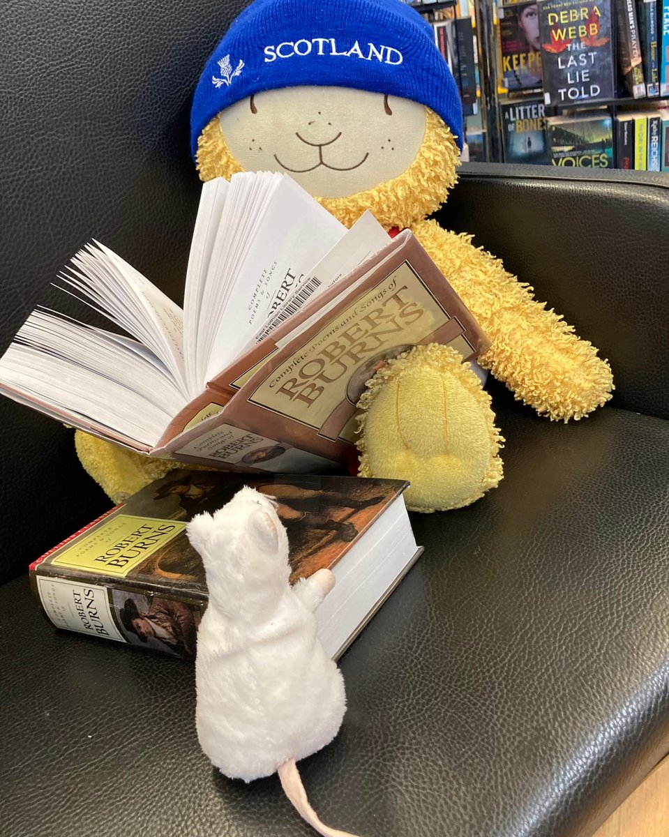 eastlothianlibs's tweet photo. Certainly looks like #Bookbug had a jolly good time celebrating Burns Night at #MusselburghLibrary!! Love it!! 🤩😍🏴❤️👏
#BurnsNight2023 @scottishbktrust #loveeastlothianlibraries https://t.co/zm4Eflouzc