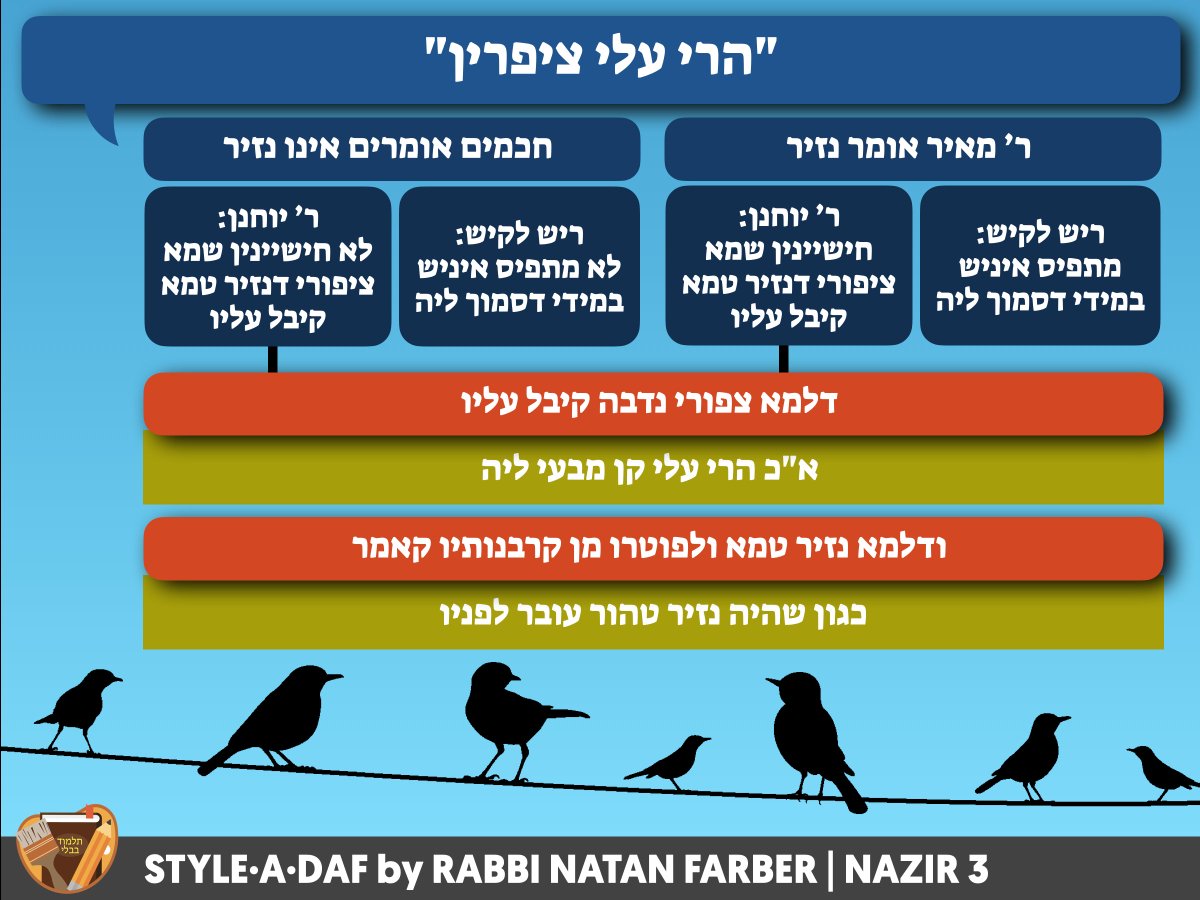 StyleADaf's tweet photo. TERMS USED AS NAZIR DECLARATIONS
WHEN A NAZIR USES "BIRDS" IN HIS DECLARATION

#Nazir3 https://t.co/qGmSyqxyQw
