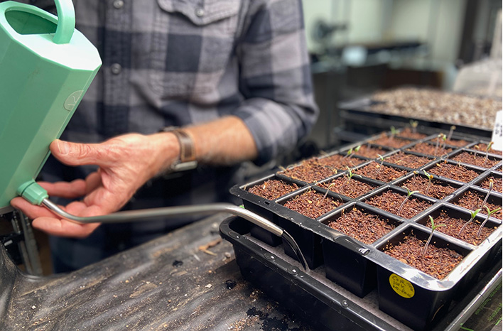 It's #seedstarting season-my favorite time of winter when I can put my #greenthumb to use weeks before my #garden wakes up. In this week's podcast, I'm sharing my seed-starting essentials for successfully germinating #seeds &amp; caring for #seedlings.joegardener.com/podcast/seed-s…