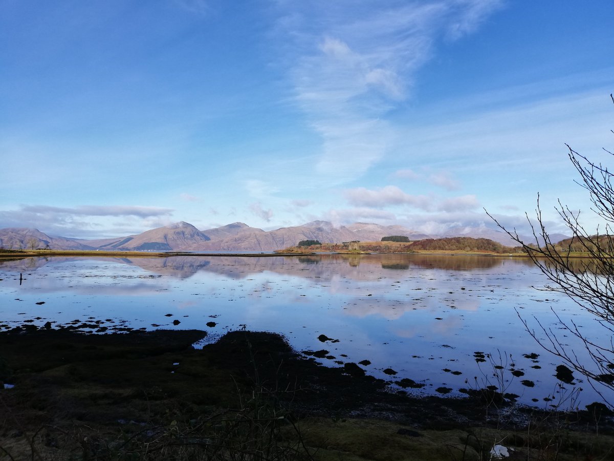 StMarysSpace's tweet photo. It's been a beautiful day in the Glen (&amp; Appin) bumping into 3 wild, smelly goats.
#appin #argyll #scotland #wildgoats #castlestalker #Winterwatch #glencreran https://t.co/7cOPIrpRps