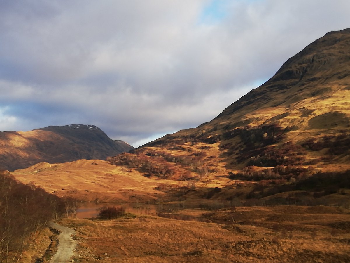 StMarysSpace's tweet photo. It's been a beautiful day in the Glen (&amp; Appin) bumping into 3 wild, smelly goats.
#appin #argyll #scotland #wildgoats #castlestalker #Winterwatch #glencreran https://t.co/7cOPIrpRps
