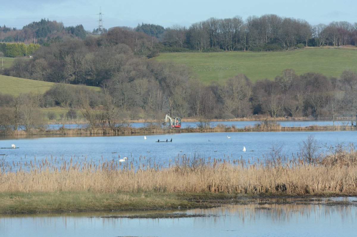 It's happening! Although funny to look out & think you're seeing a floating digger...prep work for the boardwalk has started! A great addition to @RSPBLochwinnoch thanks to @VisitScotland & @HeritageFundSCO who are funding the project! ow.ly/f5Xp50MBf84