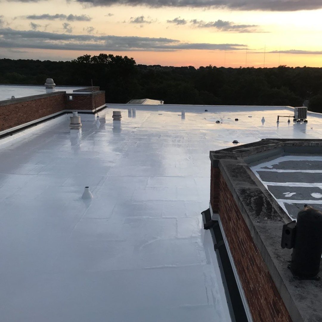 A brief moment in this never ending January for a Throwback Thursday to this coating job. Who else is ready for those gorgeous summer nights to be back?! 🙋