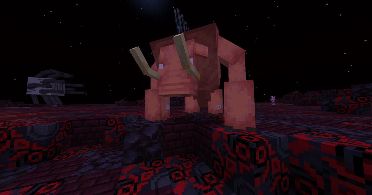 Pepe3012 tweet media