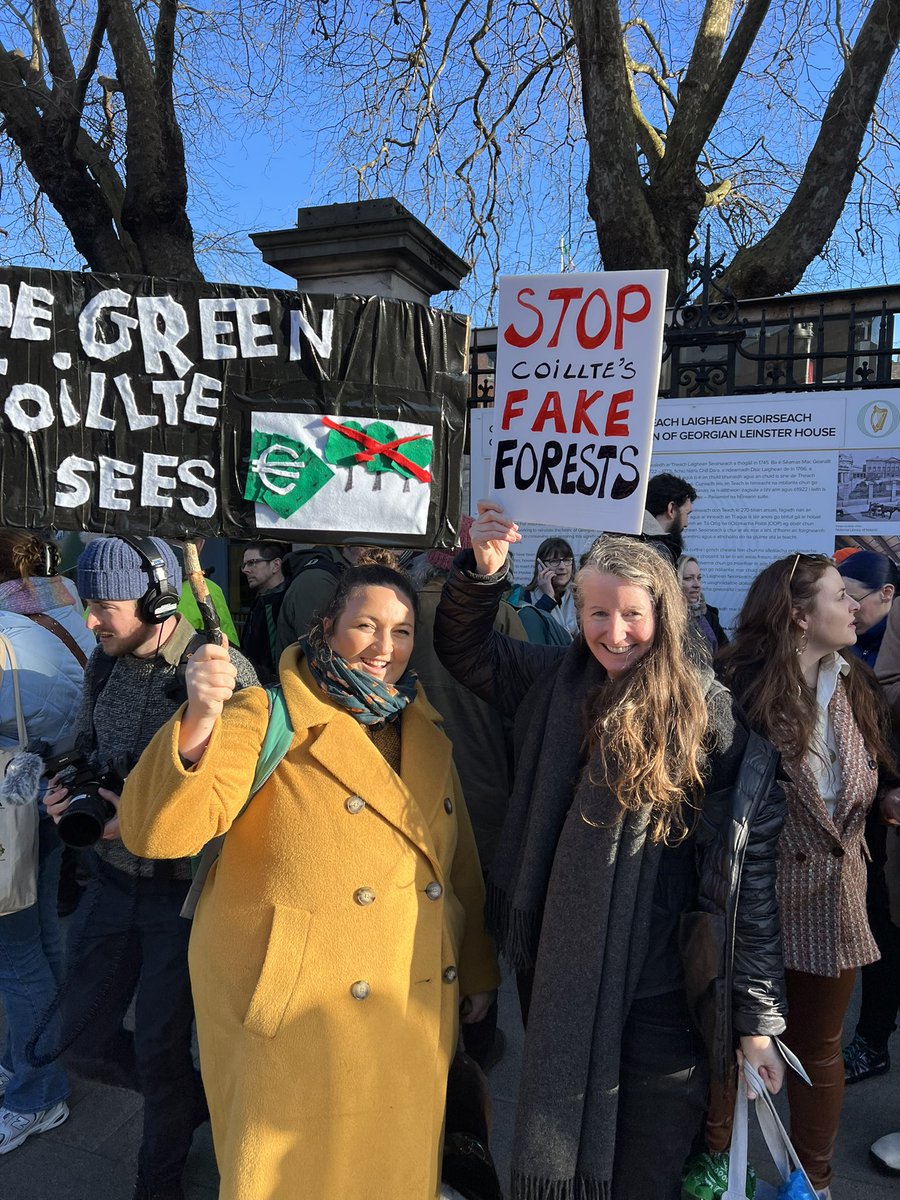 Katie Holten | Language of Trees🌳 | CRISIS 🇵🇸 tweet media