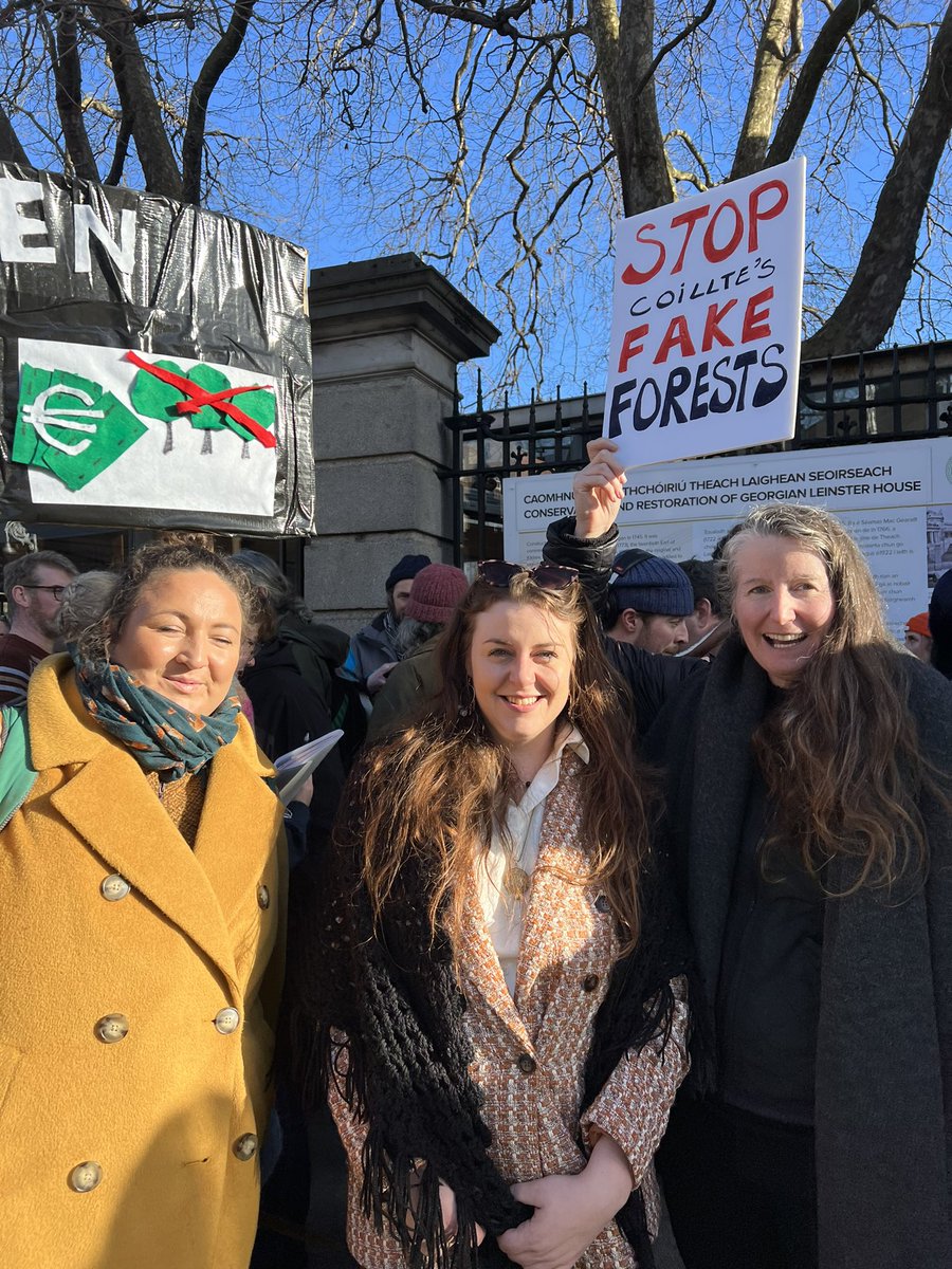 Katie Holten | Language of Trees🌳 | CRISIS 🇵🇸 tweet media