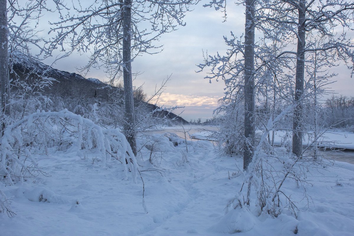 gracielawless3's tweet photo. Alaska> https://t.co/992LPTtKlH