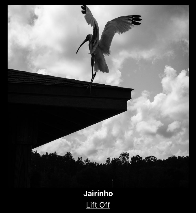 Let’s have some FUN🔥🔥🔥

Look what i got on PAUSE drop just now👇🏻👇🏻👇🏻

📸 Rain or Shine by <a href="/drjaytoor/">Jay Toor</a> 

📸 Lift off by <a href="/jairo_ema25/">Jairo ◎</a> 

More fun here ▶️ collector.sh/drops/neverland