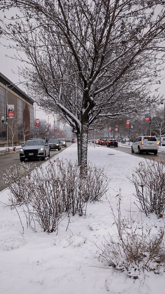 Snow day! @thisisUIC