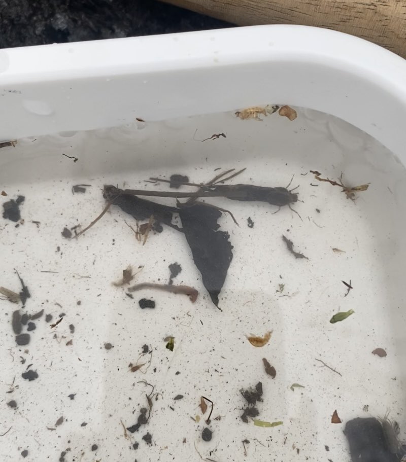 @WarminsterESS tweet media